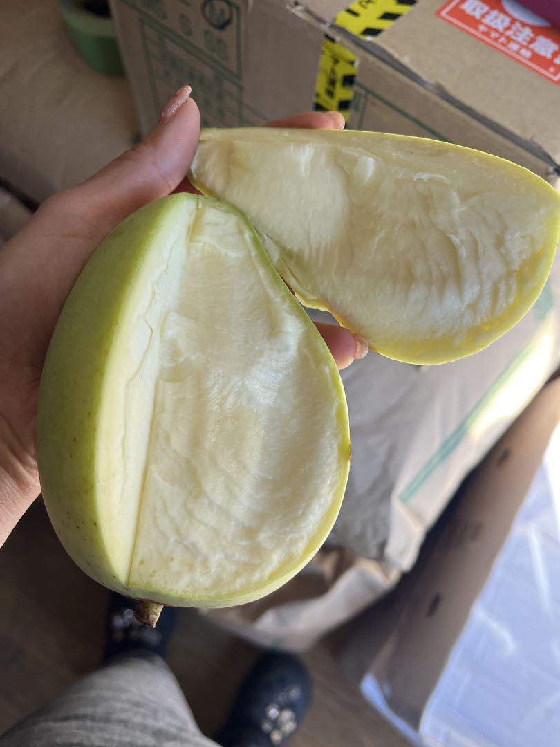 酸っぱいグリーンマンゴー　5キロ