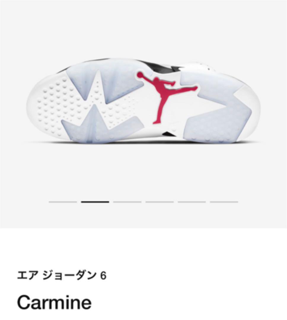 大人気2022 新品 NIKE ナイキ エアジョーダン6 カーマイン 29.0cm kFH1T-m78402178835 通販高評価
