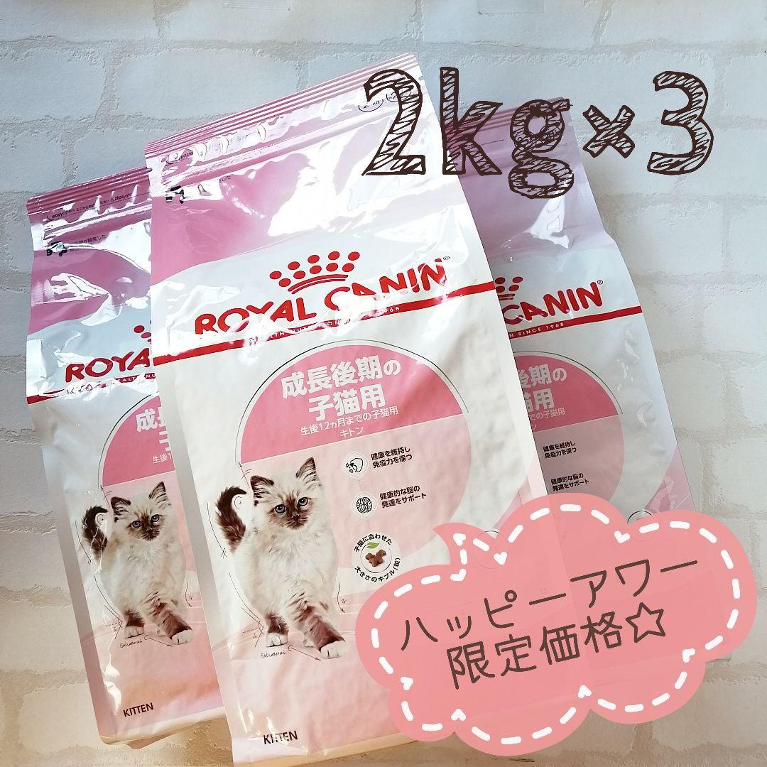 ◆ロイヤルカナン キトン 成長後期の子猫用　2kg×3袋　新品未開封◆