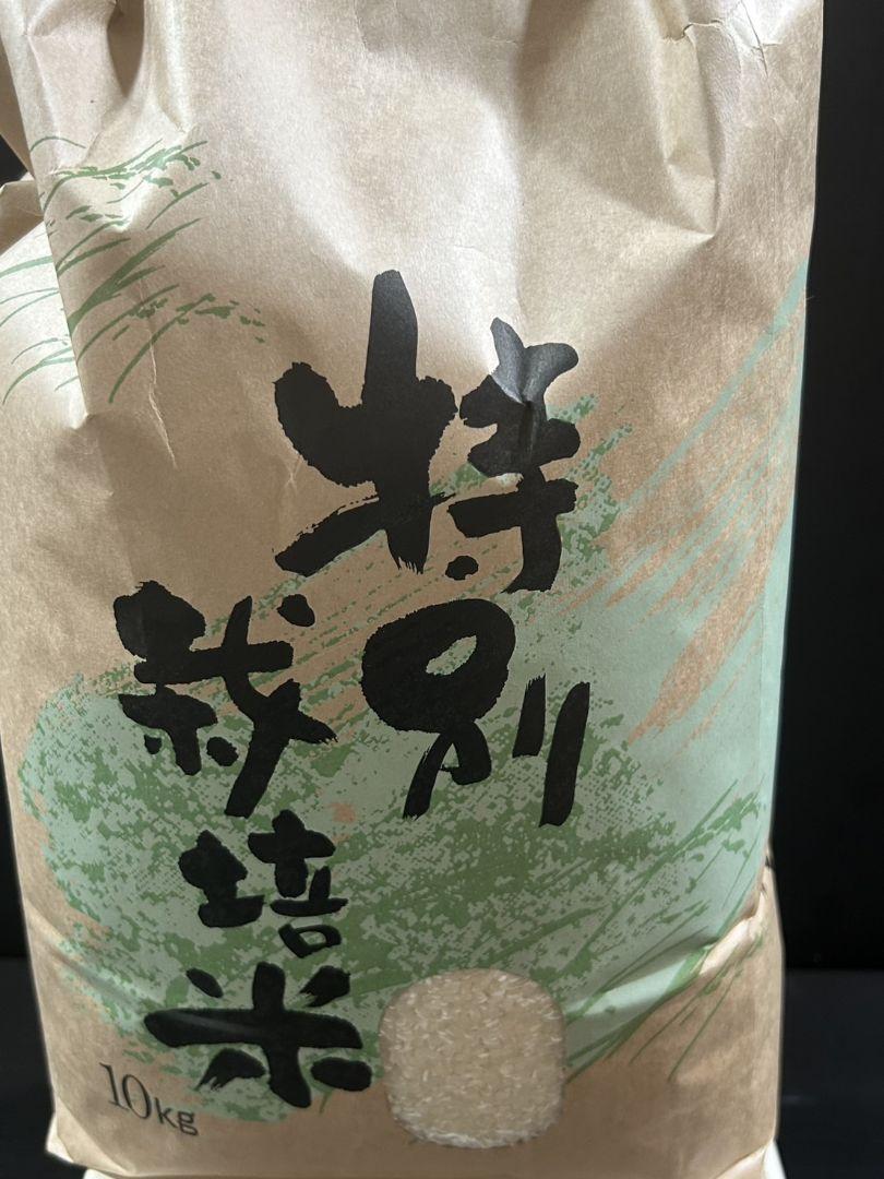 米 10kg 送料無料 4月精米 無洗米