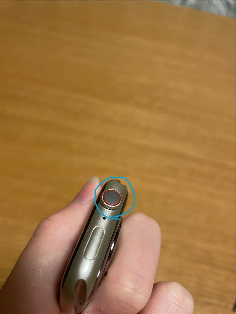 Apple watch series8 GPS セルラーモデル 45ミリ