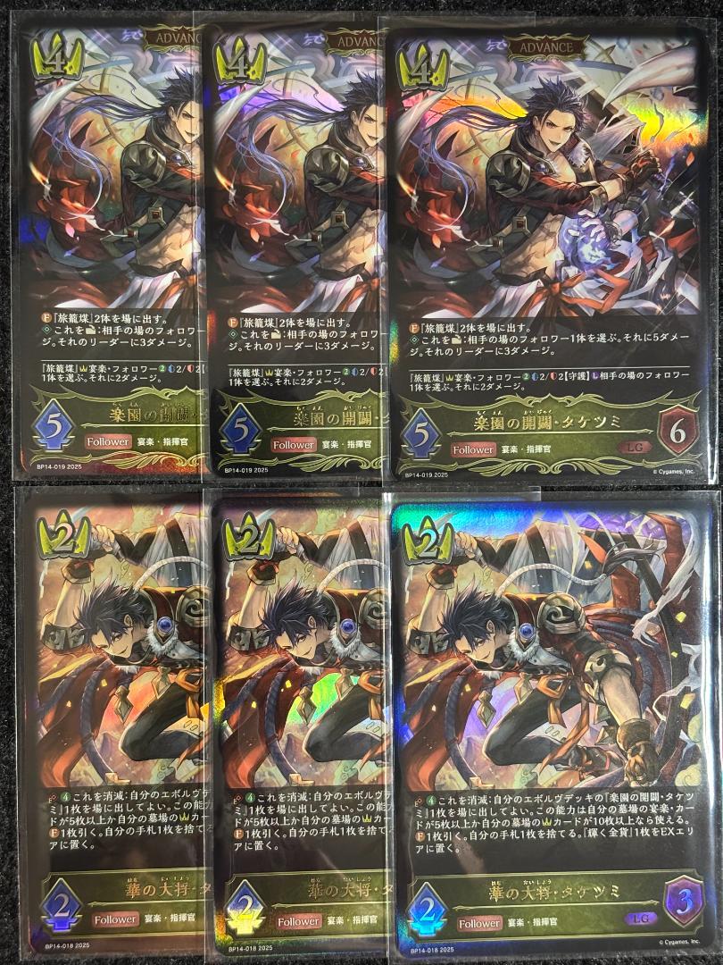 BP14-018華の大将・タケツミ [ADVANCE] LG 6 枚
