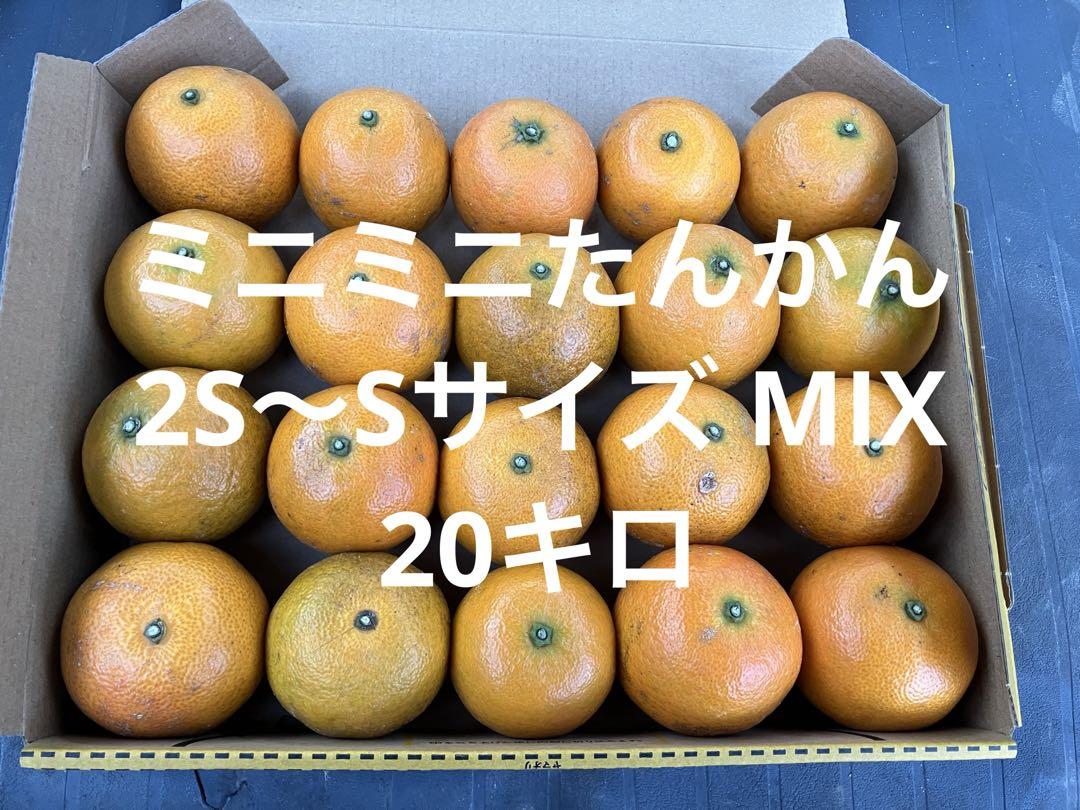 ミニミニたんかん♡2S〜Sサイズ　 MIX 20キロ 鹿児島県徳之島産　無選別