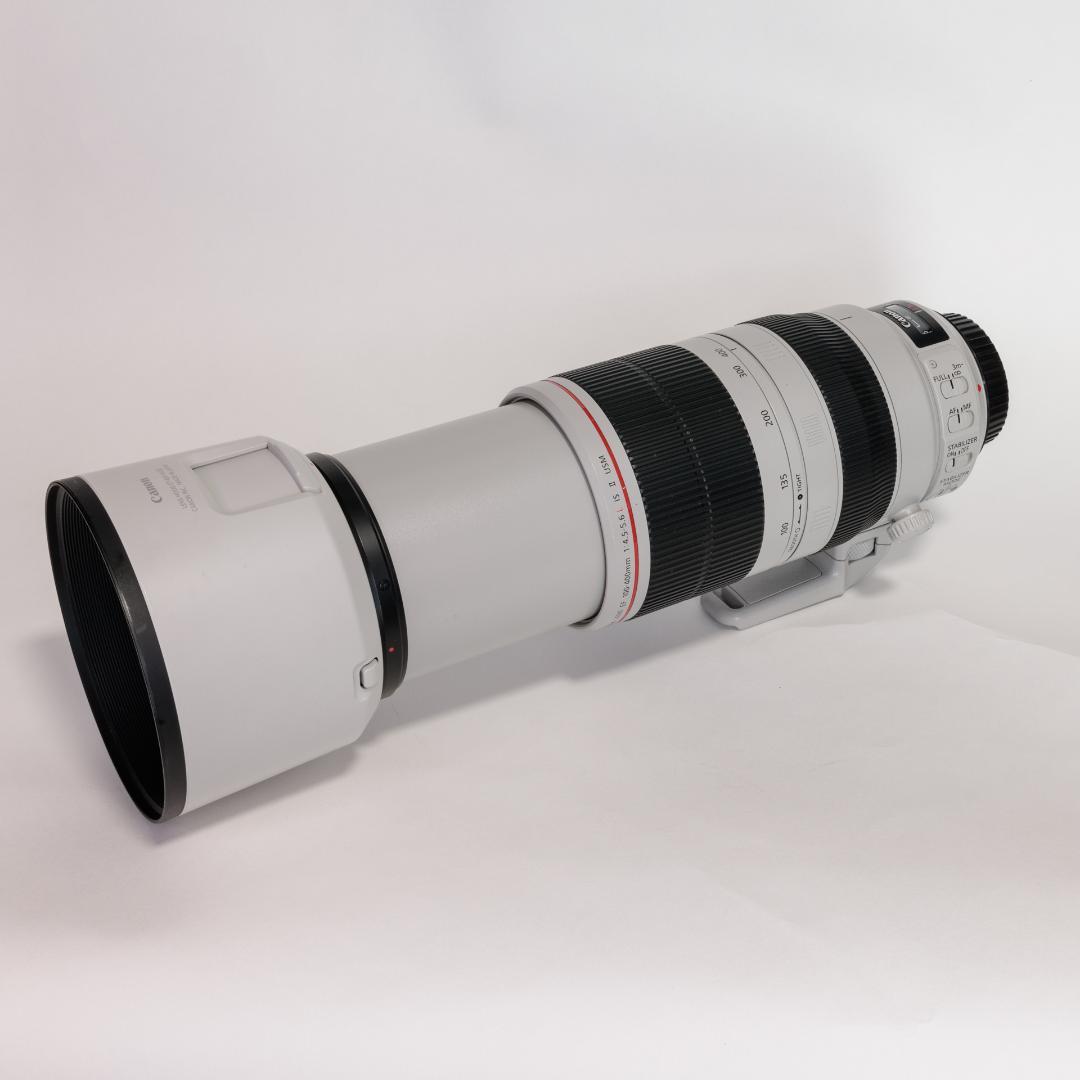 【良品】EF100-400mm F4.5-5.6L IS II USM 画像11