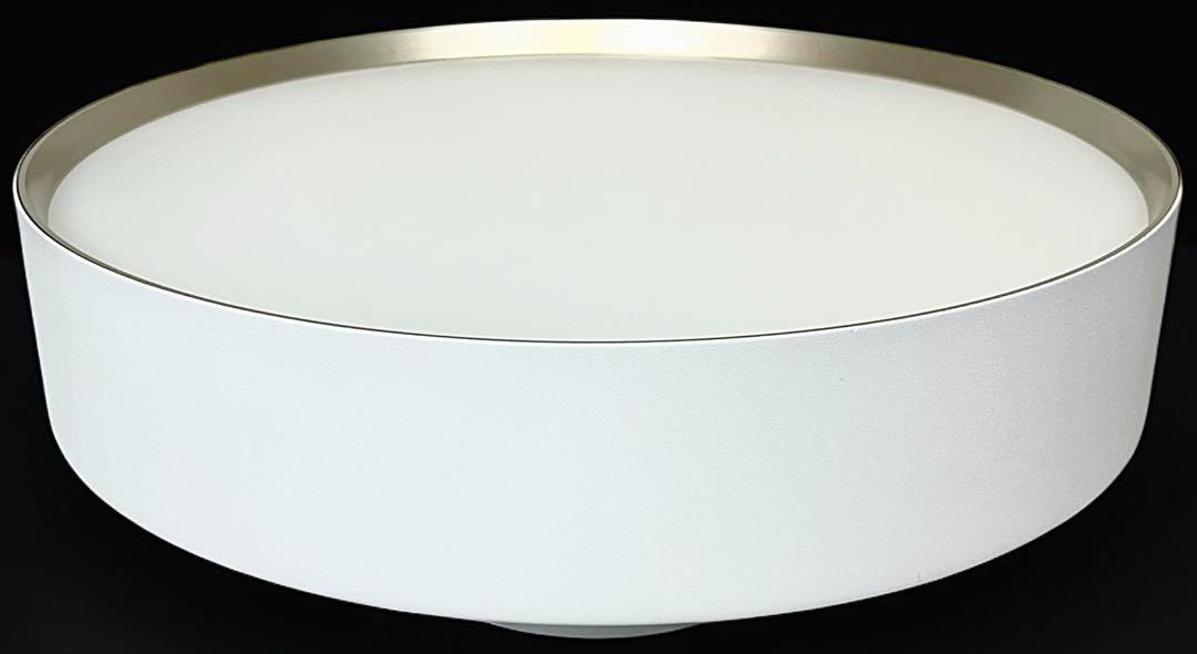 【極美品】ART WORKSTUDIO シーリングライト　AW-0555 照明