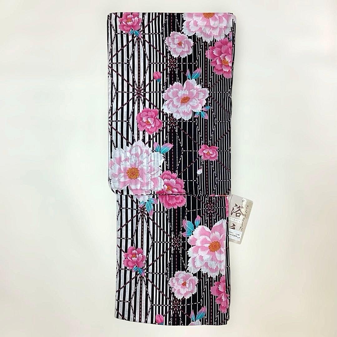 Hakubi もう一つの世界 デモCD