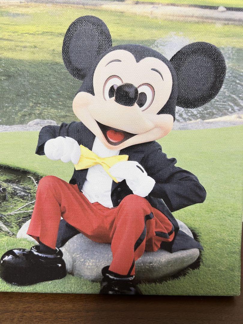 ☆ディズニー ミッキー 実写 旧顔 アートデリ 篠山紀信 イマジ