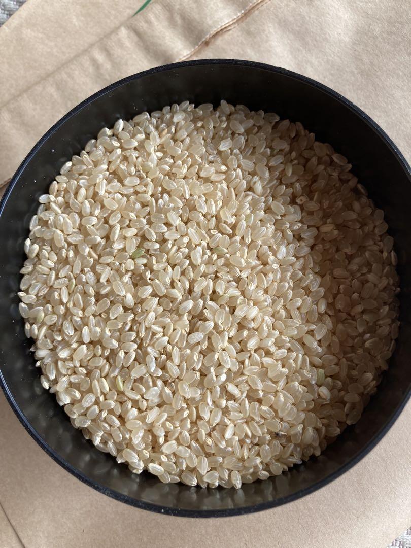 【無料精米します】令和6年千葉県産減農薬コシヒカリ玄米10キロ【送料無料】