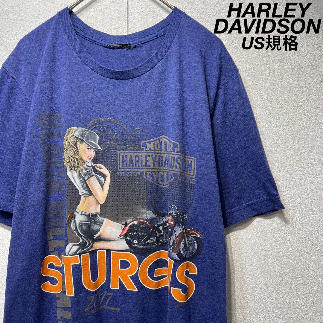 【希少】 17年製 古着 ハーレーダビッドゾン 両面プリント Tシャツ ブルー