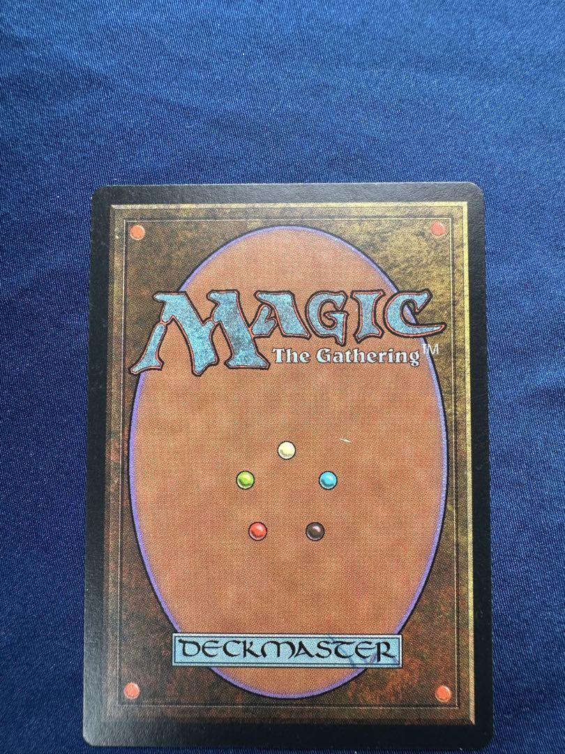 森の知恵 Sylvan Library 3枚セット 5ED 第5版 MTG
