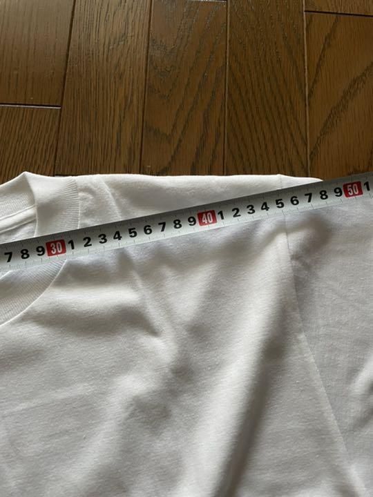 ゾーラック zorlac Tシャツ パスヘッド 90s ビンテージ 希少