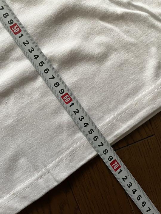 ゾーラック zorlac Tシャツ パスヘッド 90s ビンテージ 希少