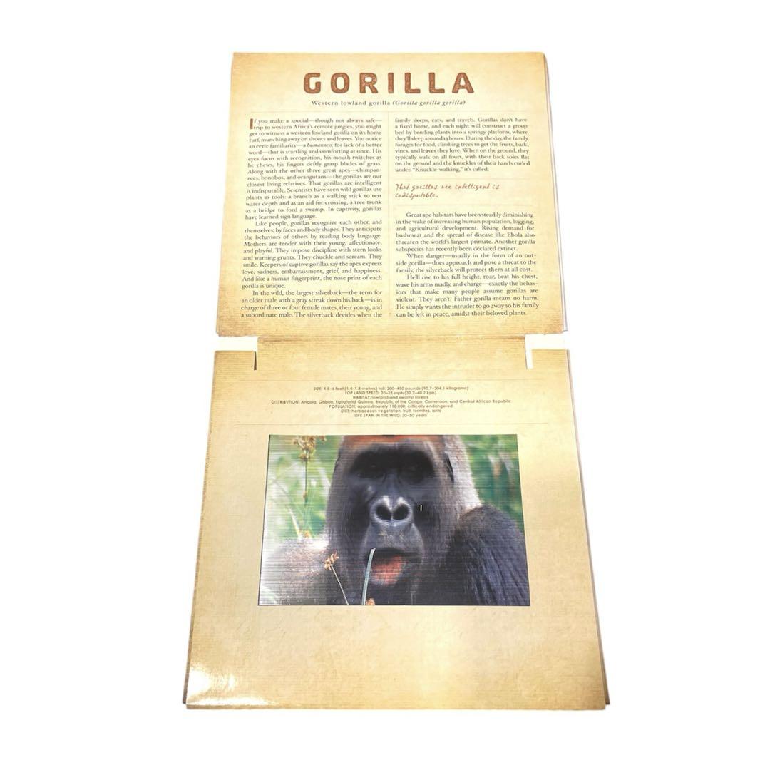 SAFARI フォトキュラー技術による絵本 3D 英語絵本 - 本