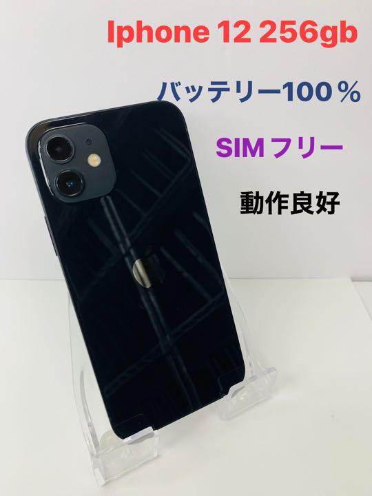 iPhone 12 ブラック 256 GB SIMフリーバッテリー100% - メルカリ iPhone 12 ブラック 256 GB SIMフリーバッテリー100% - メルカリ