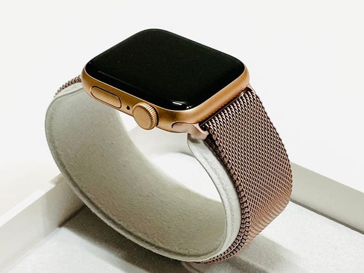 値下げ中】 Apple Watch SE 40mm GPS GOLD | www.bioimune.com.br