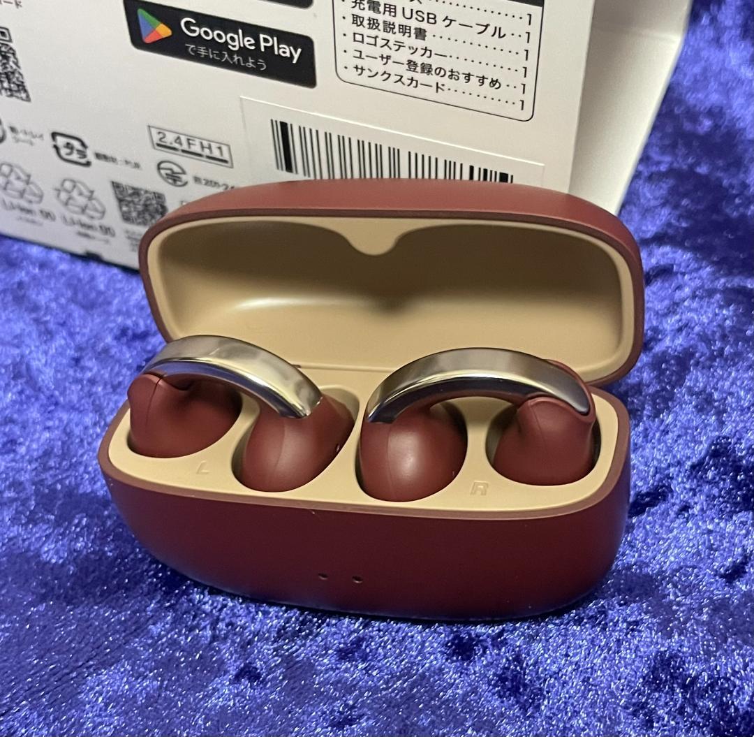 JVCケンウッド HA-NP1T マルーン 使用数時間美品