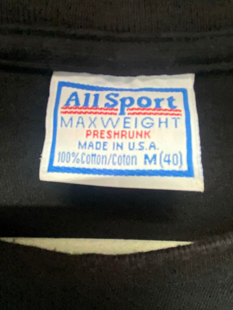 ☆美品☆ナインインチネイルズ☆NIN☆ロンt☆黒×グレー☆M☆早い者勝ち ☆美品☆ナインインチネイルズ☆NIN☆ロンt☆黒×グレー☆M☆早い者勝ち