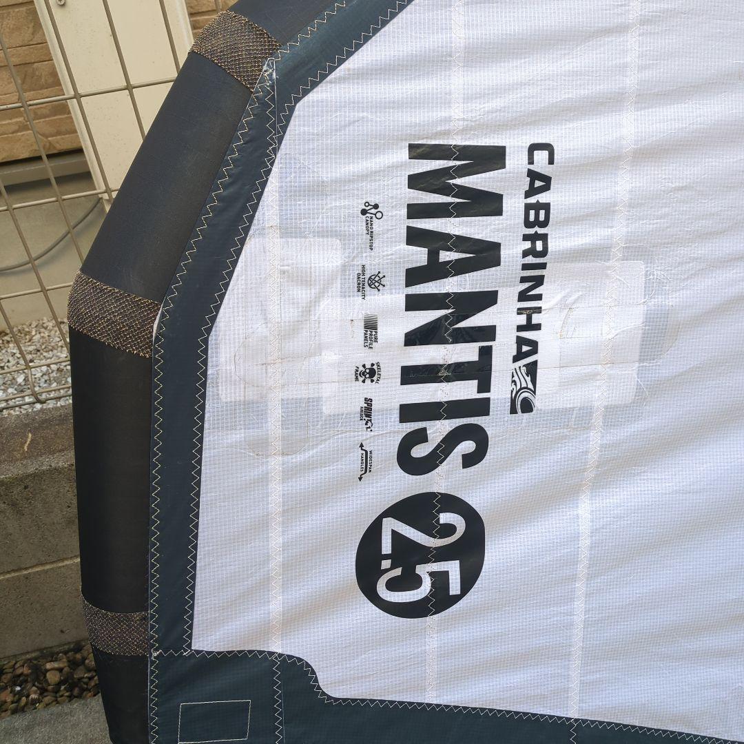 WING