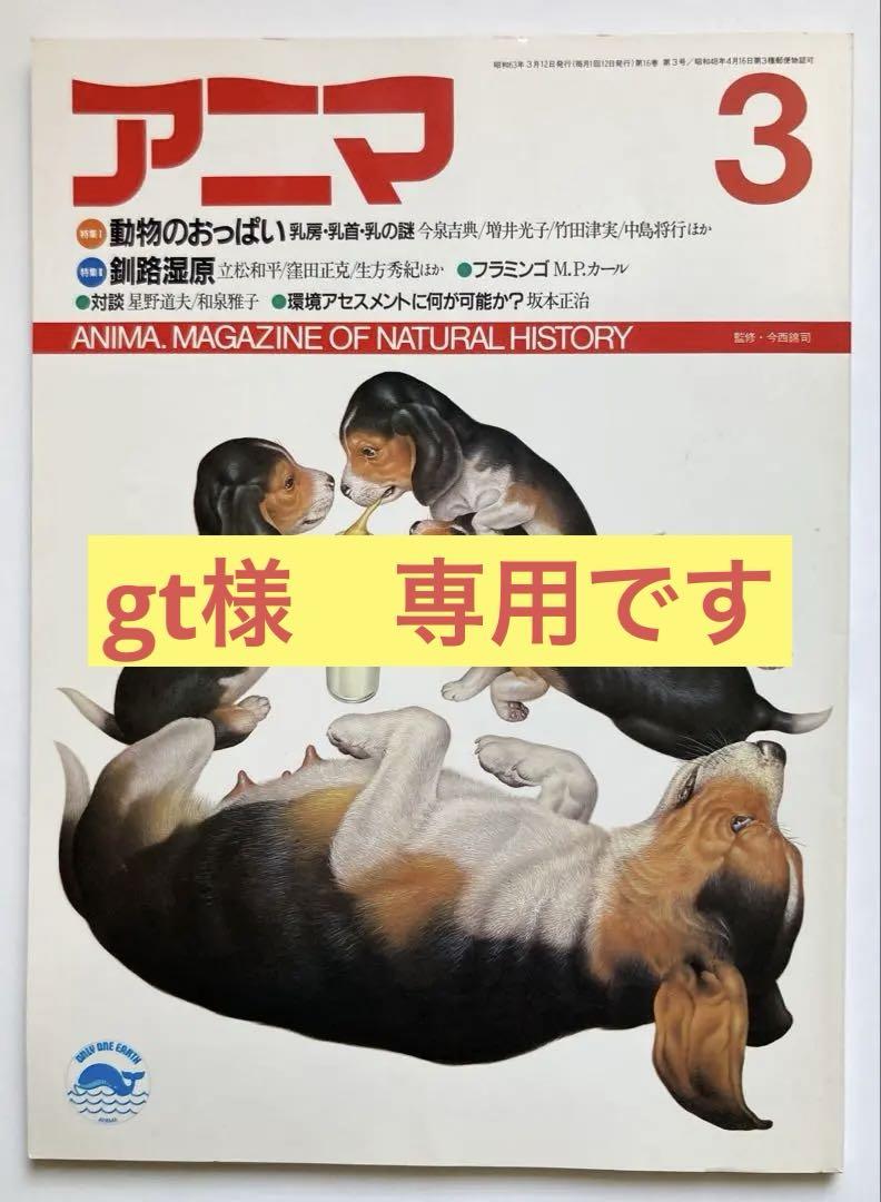 アニマ　平凡社　動物雑誌　まとめ売り③④ 56冊(gt様　専用)