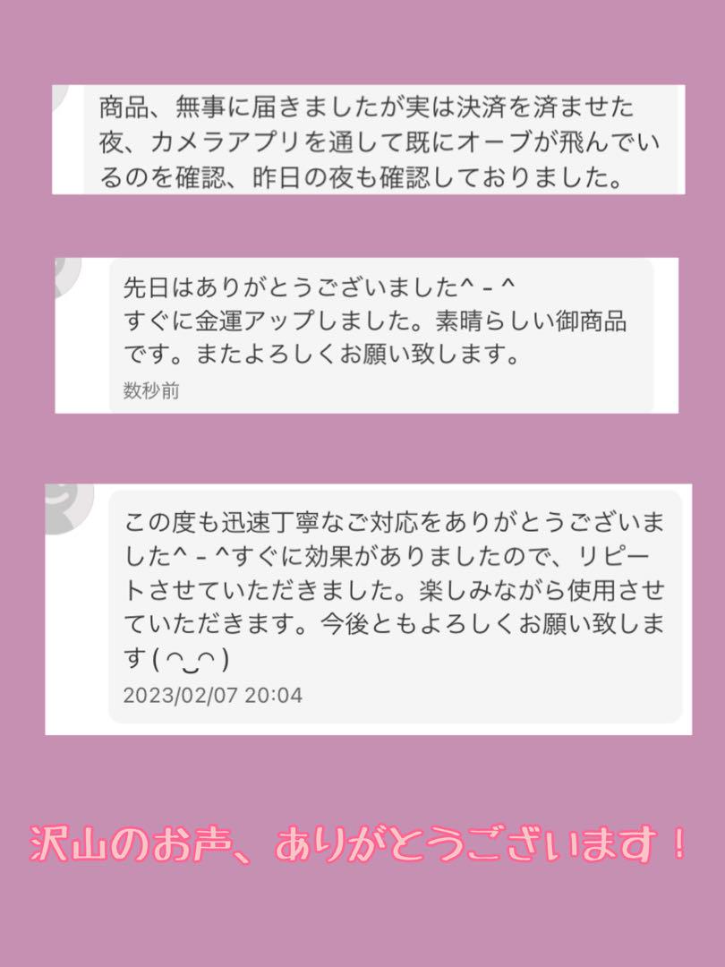 金龍 銀龍 虹龍 宿る！直感力開花 願望成就 恋愛成就 仕事運 癒しと健康ブレス