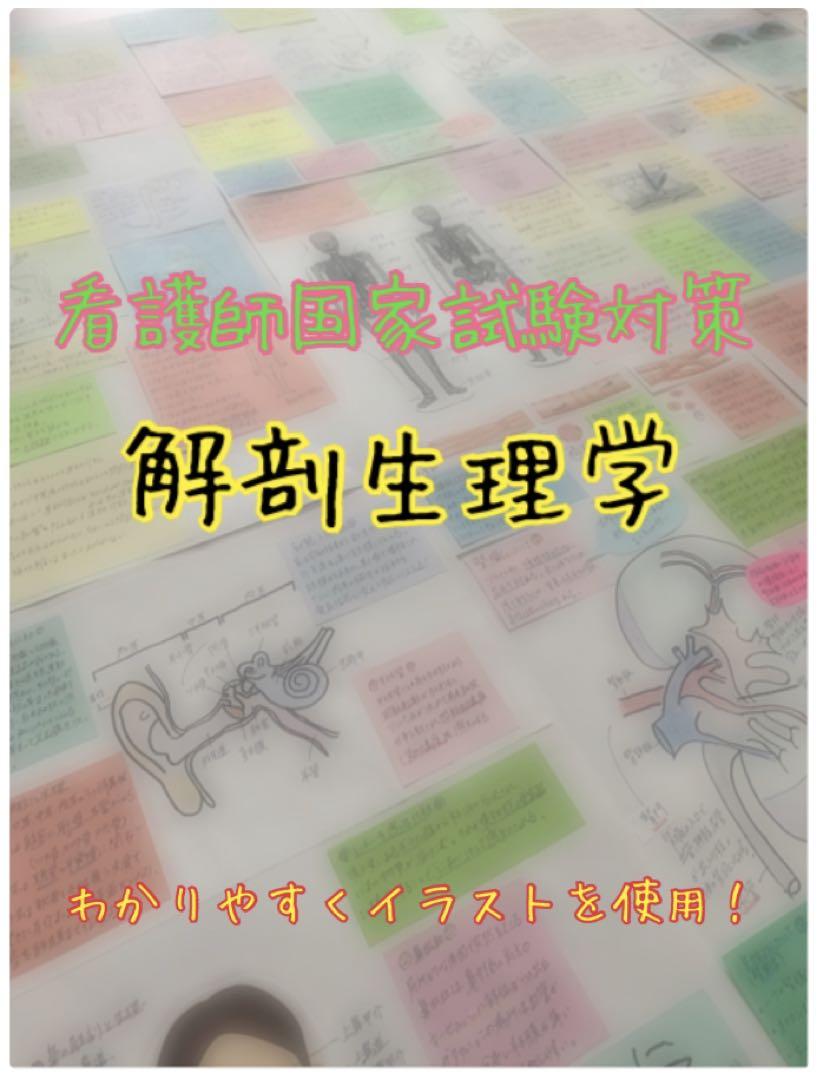 まとめ価格！看護師国家試験対策 大量付箋 暗記カード 解剖生理学 付箋ノート