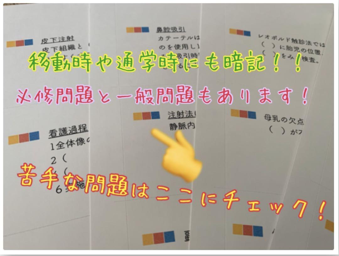 まとめ価格！看護師国家試験対策 大量付箋 暗記カード 解剖生理学 付箋ノート