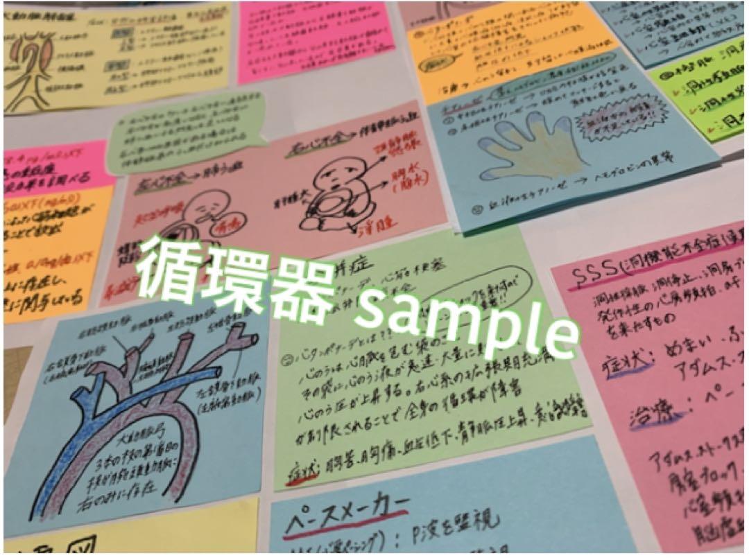 まとめ価格！看護師国家試験対策 大量付箋 暗記カード 解剖生理学 付箋ノート