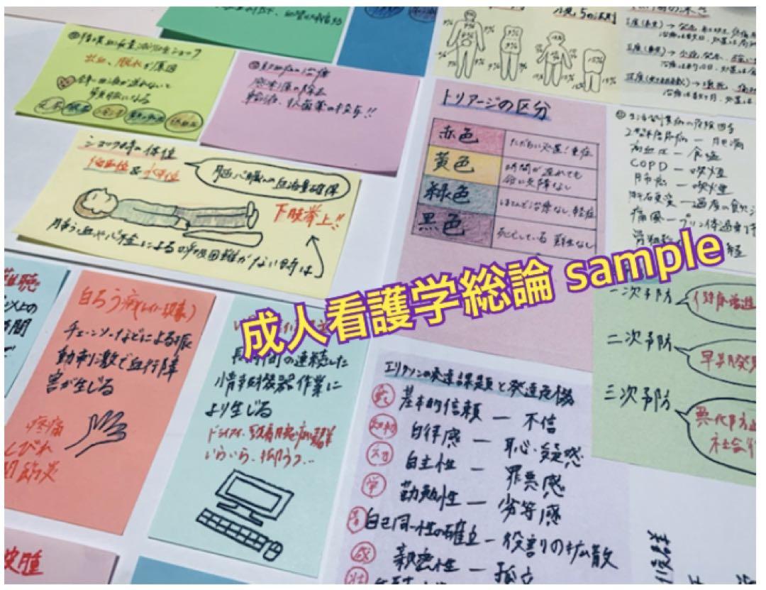まとめ価格！看護師国家試験対策 大量付箋 暗記カード 解剖生理学 付箋ノート