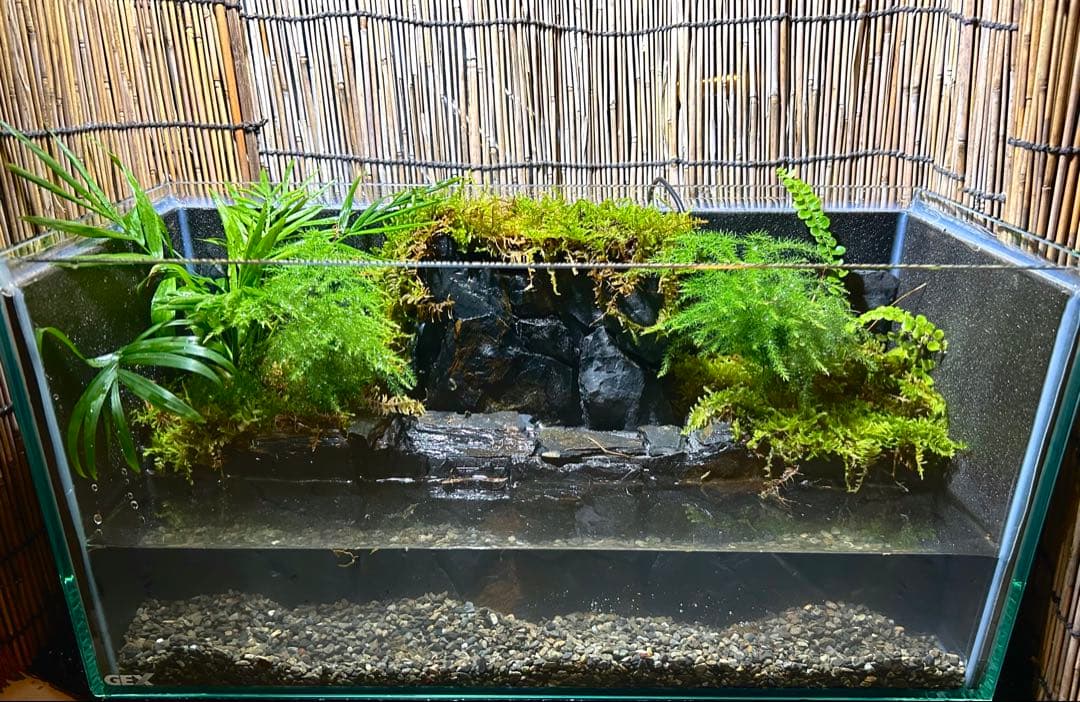 タケノイ様 リクエスト 2点 まとめ商品