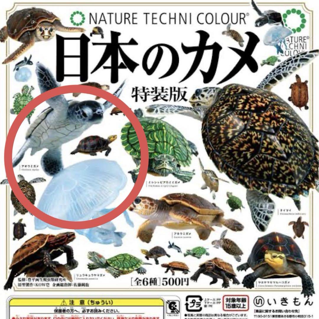 ネイチャーテクニカラー　日本のカメ　初版　7種セット　フィギュア ネイチャーテクニカラー 日本のカメ