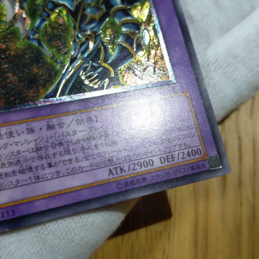 遊戯王 ブラックパラディン レリーフ