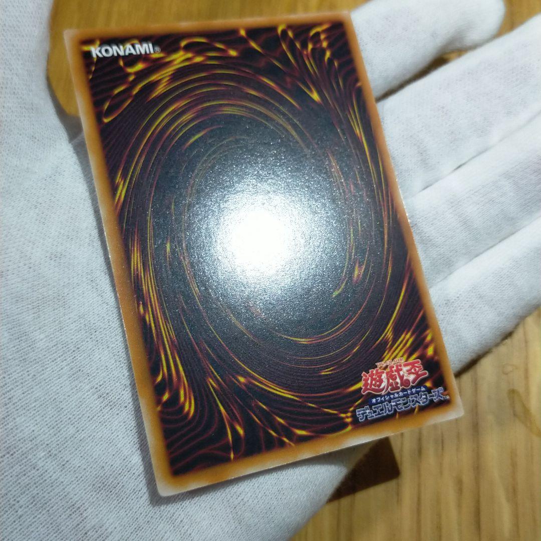 遊戯王 ブラックパラディン レリーフ