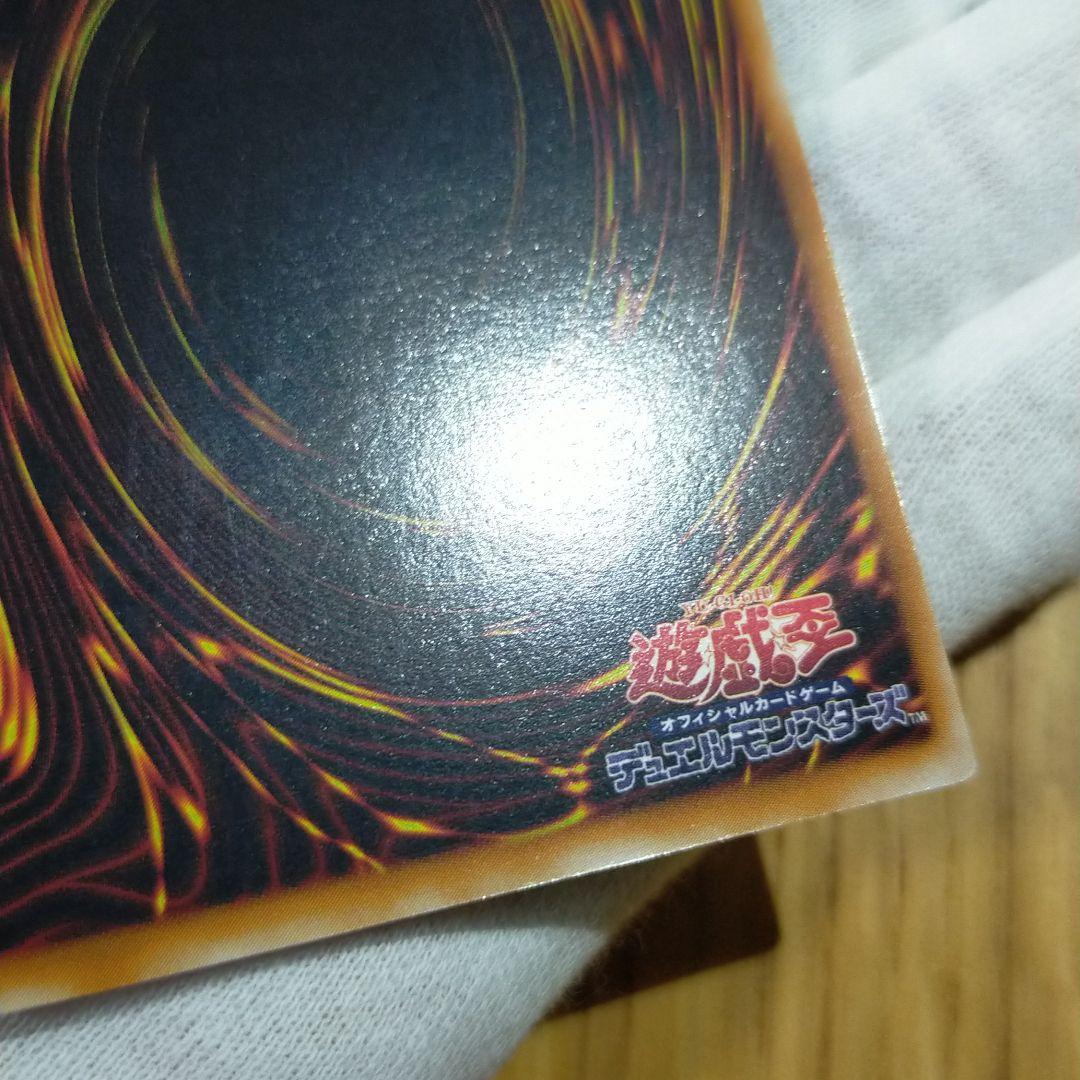 遊戯王 ブラックパラディン レリーフ