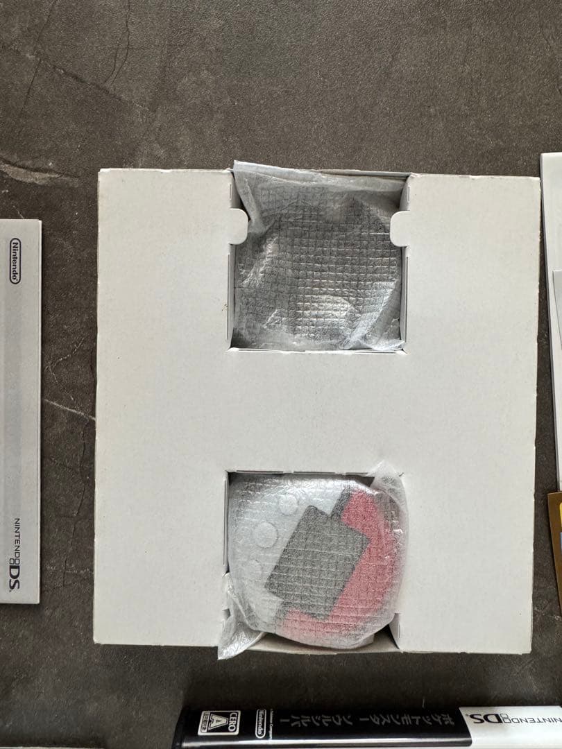 ポケウォーカー付きポケモン