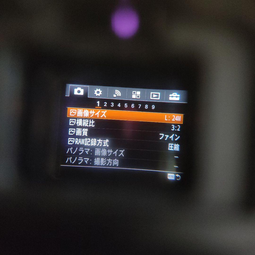 sony a7ii 1650 oss ジャンク