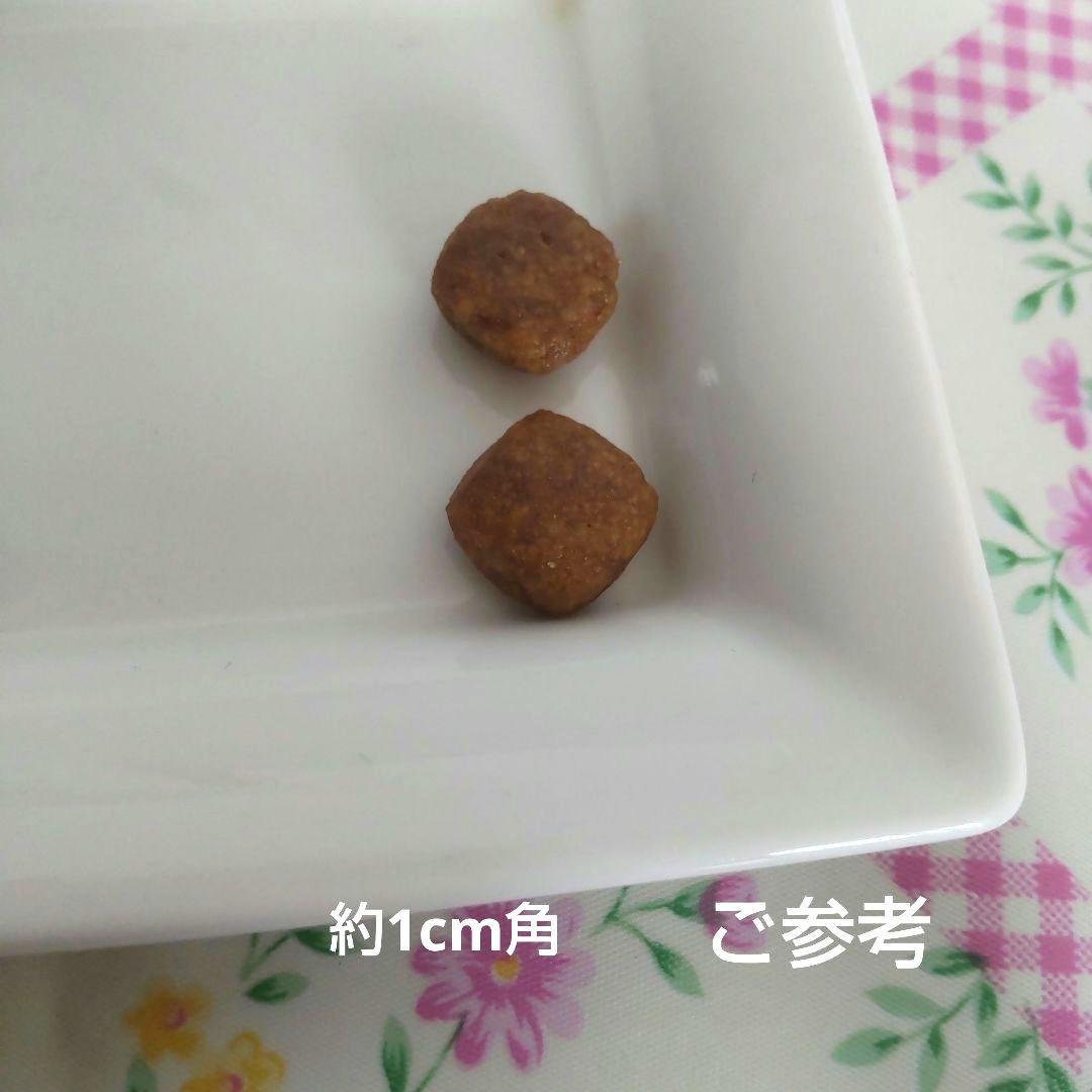 犬用