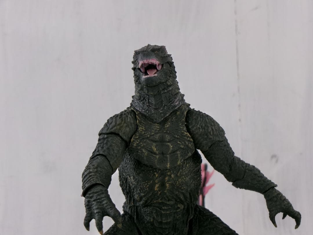 30▢GODZILLA (2024) EVOLVED Ver. NS0623-5