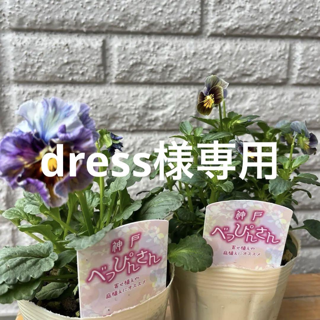 dress様専用 神戸べっぴんさん♡フィデネージュ