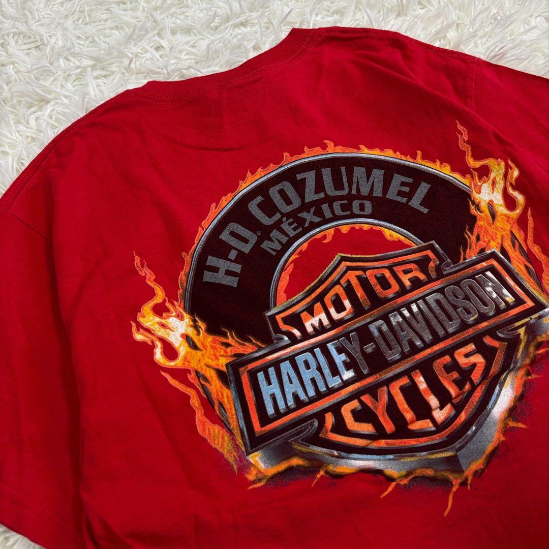 ハーレーダビットソン Tシャツ レッド コットン ユニセックス 半袖 B058