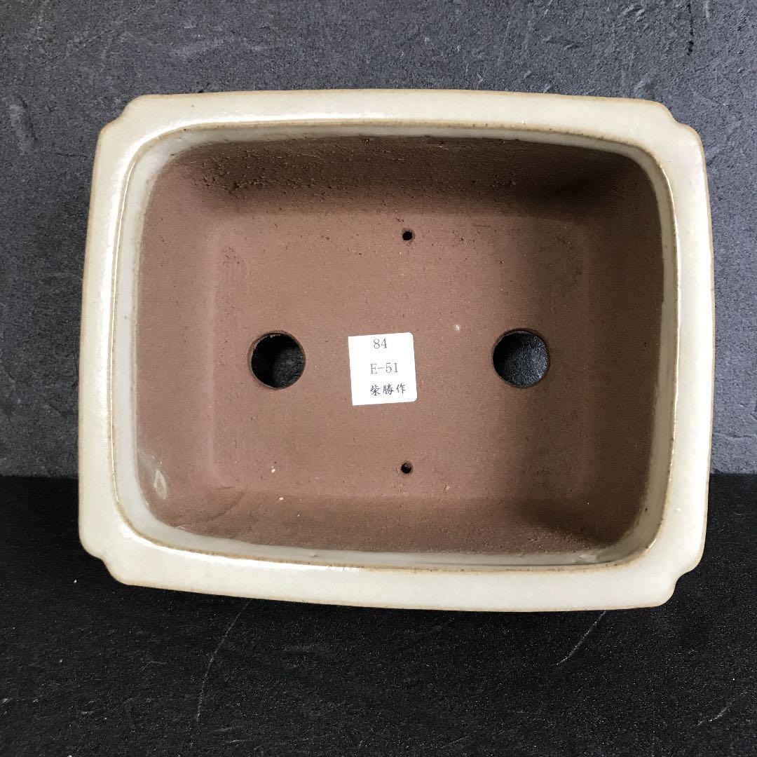 柴勝　小品盆栽 Yahoo!オークション - 小品盆栽 杜松 柴勝鉢