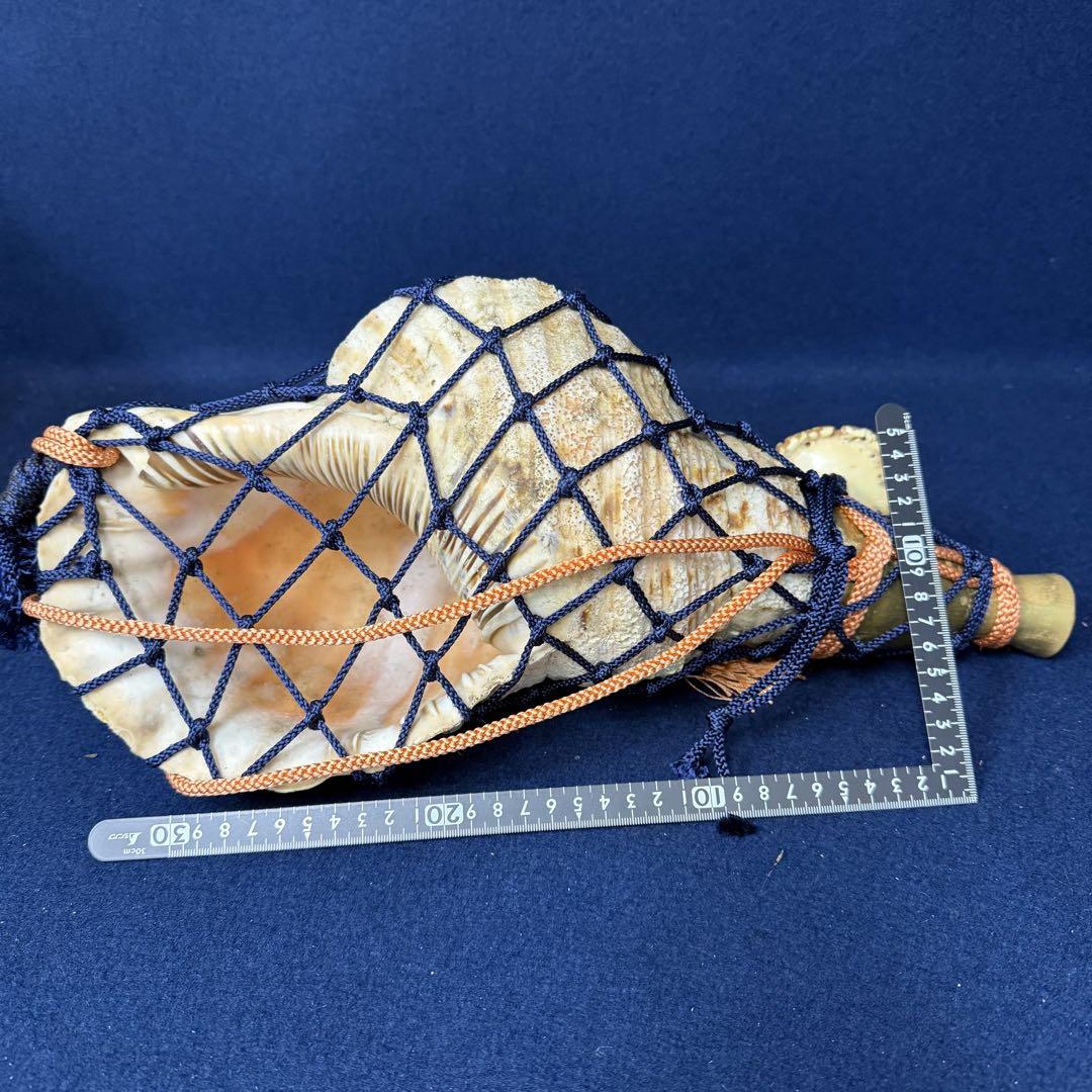 数量限定SALE 和楽器 雅楽 ラッパ 螺貝 法螺貝 ホラ貝 特大 古玩 蔵出 旧家 和楽器
