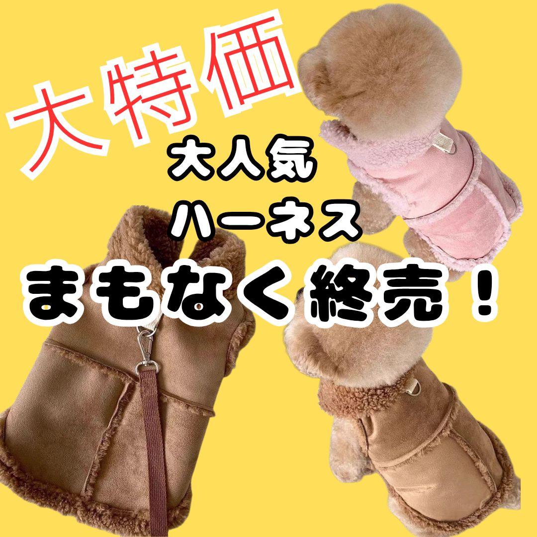 TENDOBOTANICAL 痛丸 アガ丸 アガベソフビ TENDOBOTANICAL 痛丸 アガ丸 アガベソフビ②