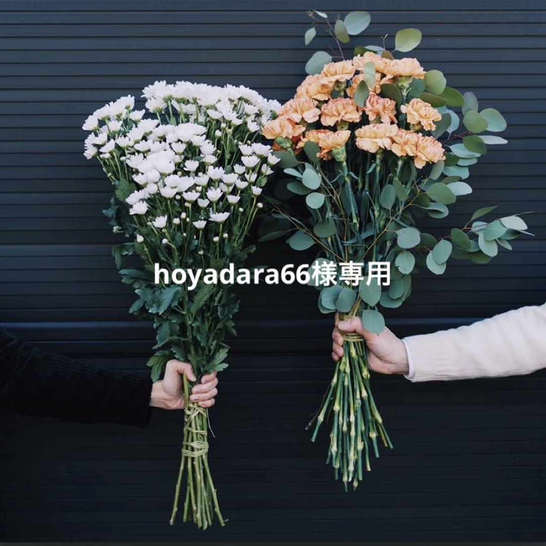小物 hoyadara66