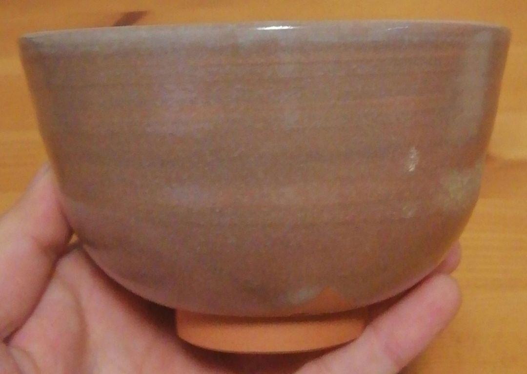 東山深山作　色絵　松　茶碗　共箱　略歴付　茶道具
