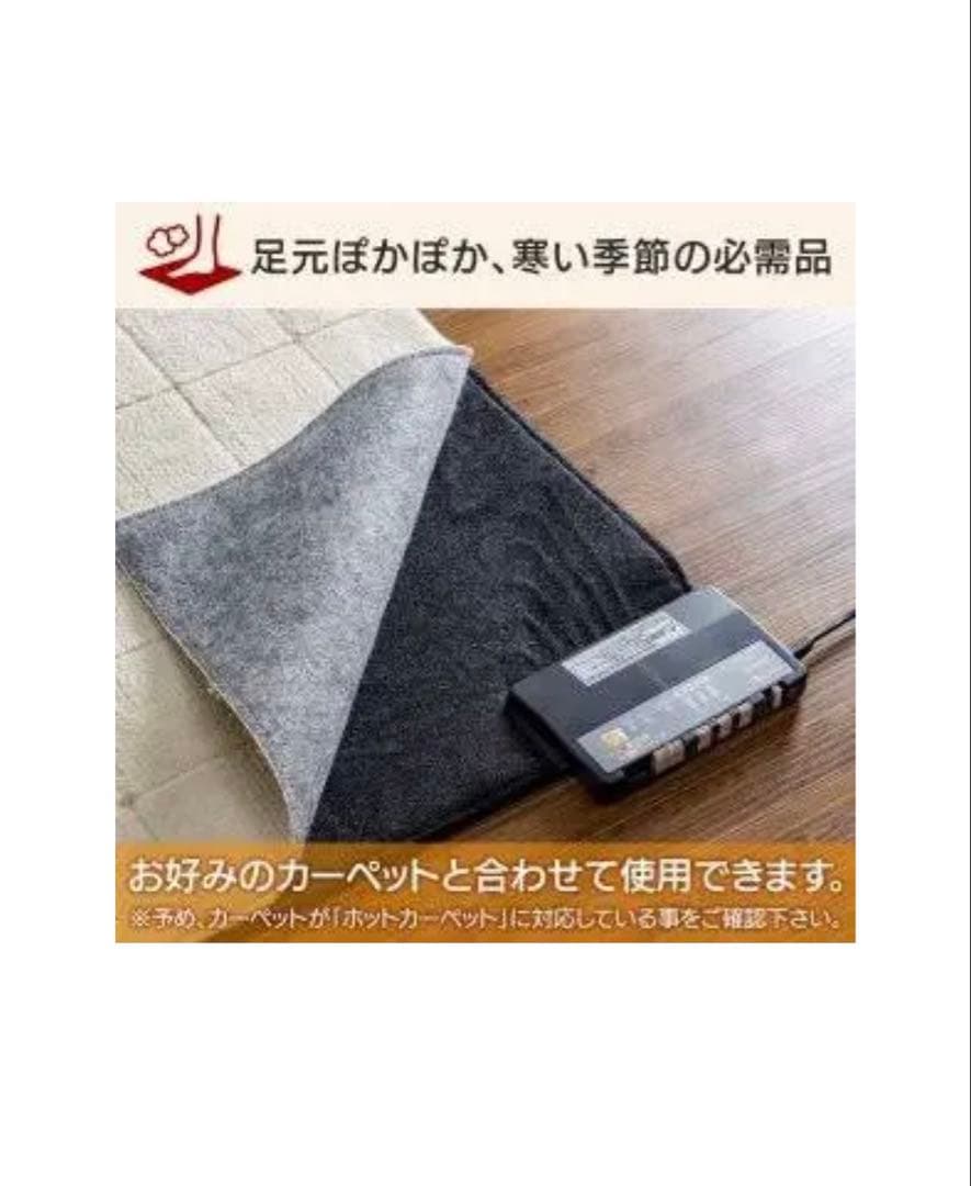 ホットカーペット IHC-D20-B