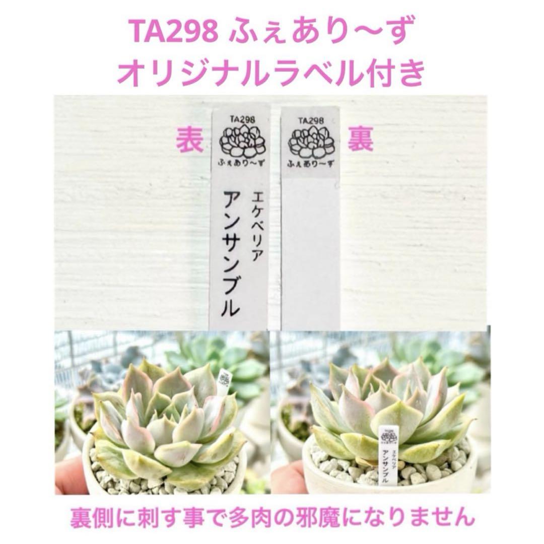六花