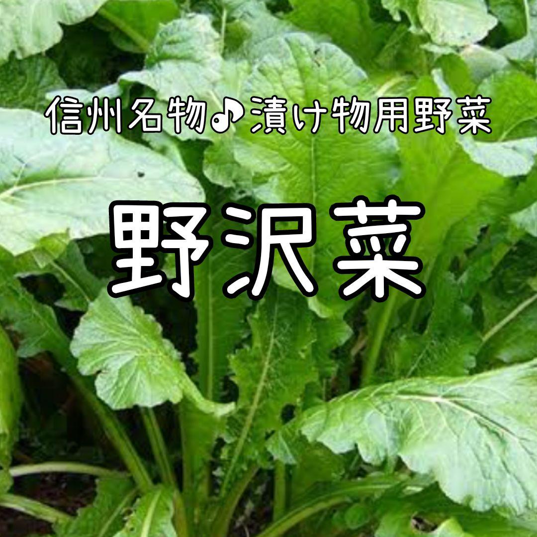 yoshy様 リクエスト 2点 まとめ商品 - メルカリ