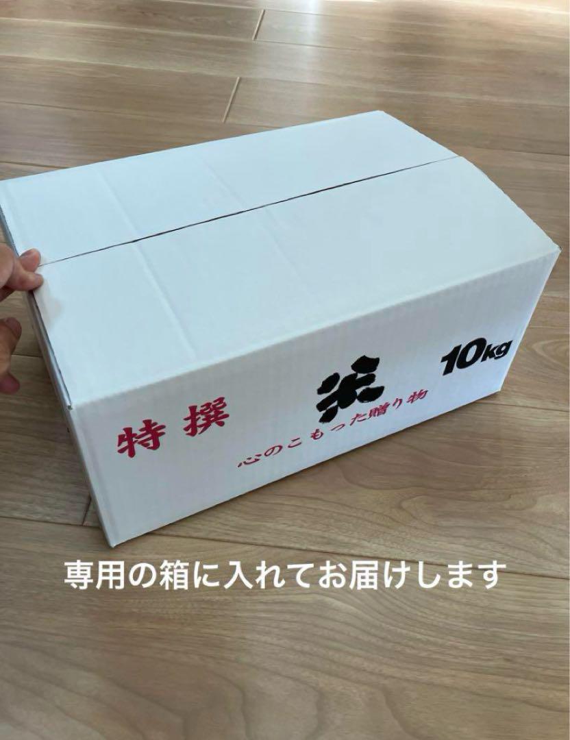 令和6年産 新米キヌヒカリ10kg 農家直送 滋賀県産　送料無料