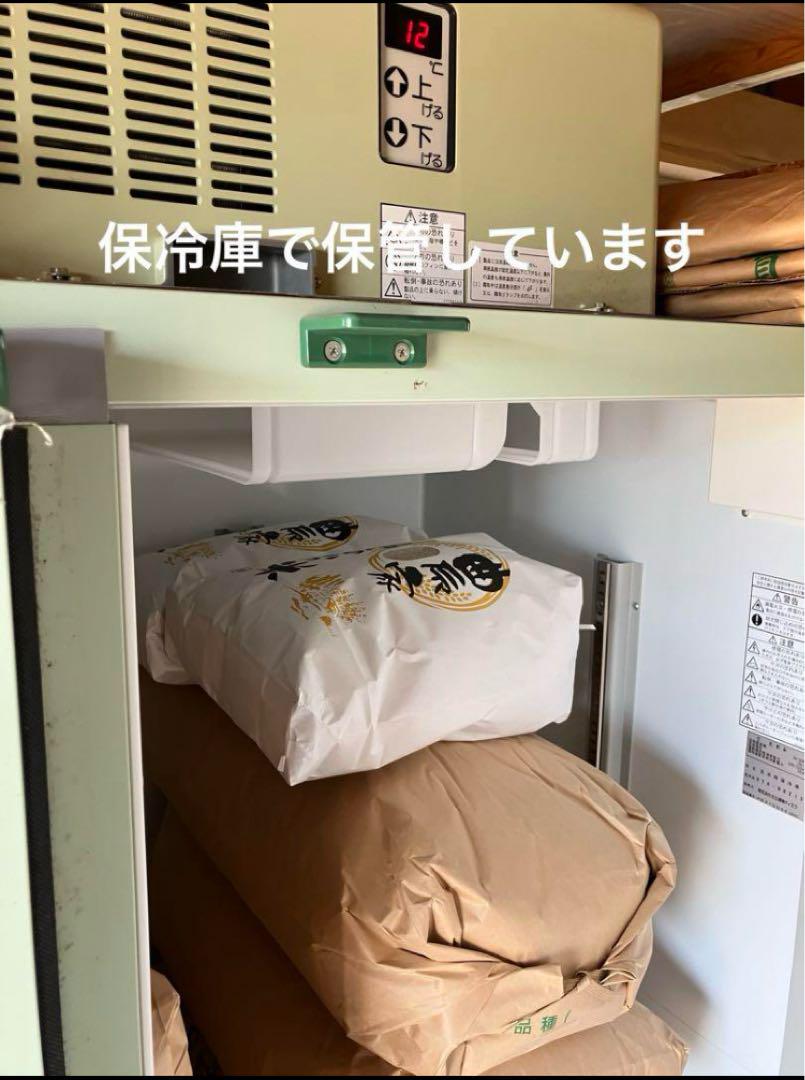 令和6年産 新米キヌヒカリ10kg 農家直送 滋賀県産　送料無料