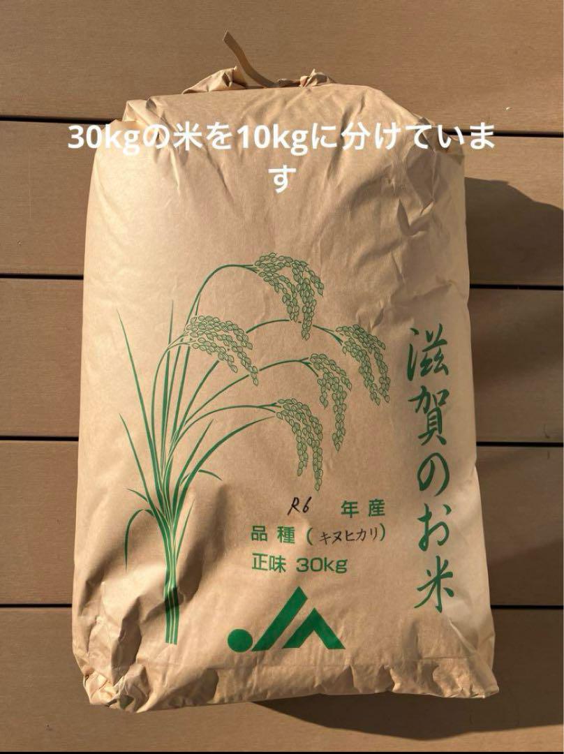 令和6年産 新米キヌヒカリ10kg 農家直送 滋賀県産　送料無料